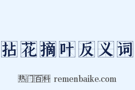 拈花摘叶反义词是什么意思的图片